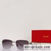 Cartier Ultra Light Frame Unisex Sunglasses