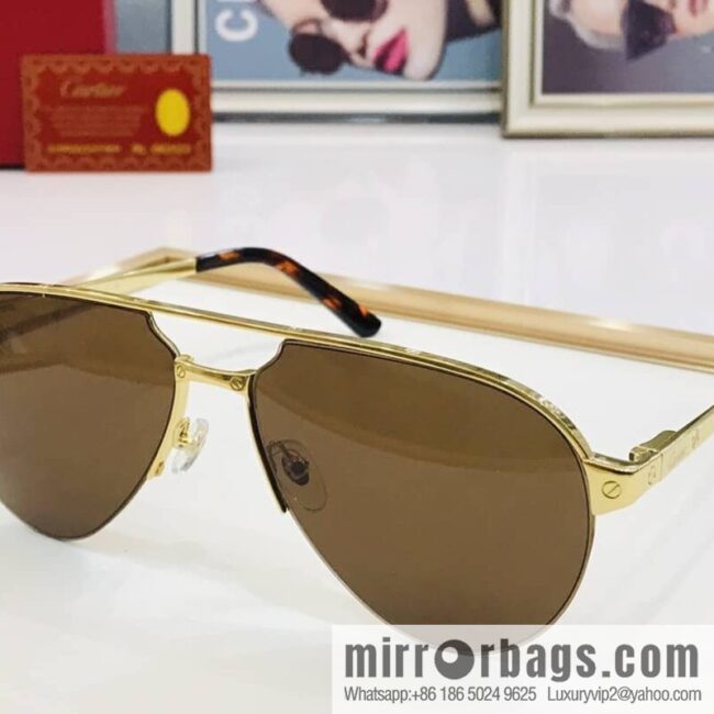 Cartier Cartier Men\'s Metal Frame Sunglasses