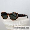 CELINE iconic logo women\'s sunglasses