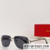 Cartier Metal Frameless Unisex Sunglasses