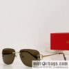 Cartier Metal Frameless Unisex Sunglasses