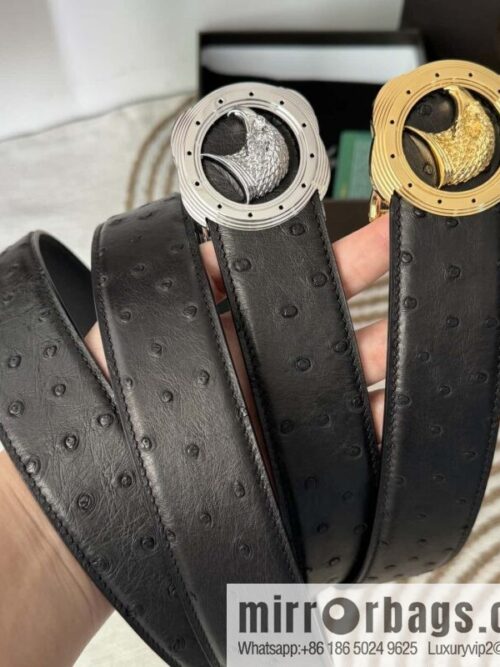 wsxc1715696736036_0-800x800qw4pk5yrvcq2263_20250625103806.jpg Stefano Ricci, South African ostrich leather belt