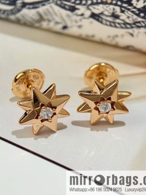 wsxc1741172977278_6-800x800jx135dsi5zy840_20250625095402.jpg ❗️New ❗️ ☀️ New ☑️ Dior ⭐ stud earrings☀️