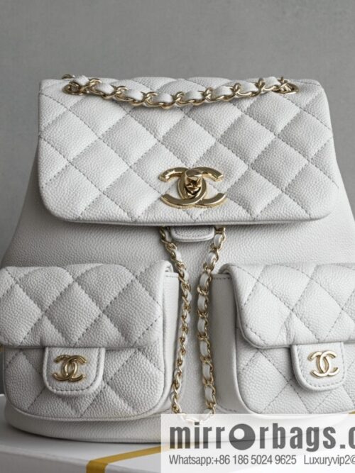 wsxc1745927635056_0_jpg-scaled-800x800dur4pte2n1k36290_20250626041831.jpg CHANEL Double Pocket Frog 🐸 Retro Backpack, Light Grey, Medium AS3860