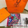 Hermes \"Waiting for Ulysses\" All-handmade rimmed scarf