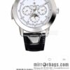 Patek Philippe Super Complication Series 5073P_010 Watch