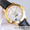 Patek Philippe Super Complication Series 5073P_010 Watch