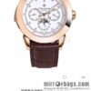 Patek Philippe Super Complication Series 5073P_010 Watch