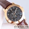 Patek Philippe Super Complication Series 5073P_010 Watch