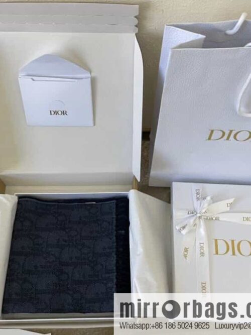 Dior Blue Oblique Print Unisex Scarf