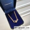 Tiffany & co. full diamond double chain ring necklace
