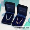 Tiffany & co. full diamond double chain ring necklace