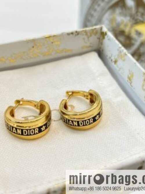New ☑️ Dior letter earrings