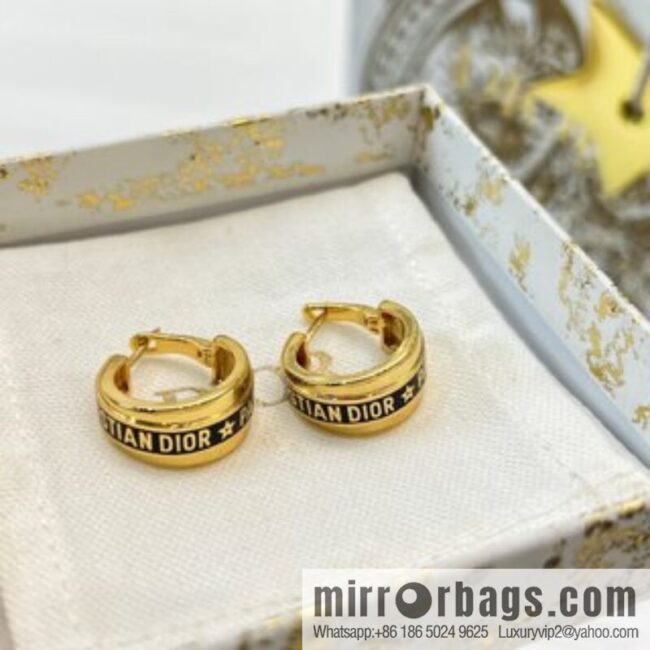 New ☑️ Dior letter earrings