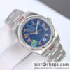 2022 New Rolex Oyster Perpetual Series 116034 39mm Commuter Watch