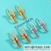 wsxc1689687344820_0-800x800r0iu0qisyiz158090_20250705135437.jpg New ☑️ TIFFANY & Co. Tiffany HardWear series double ring horseshoe buckle earrings