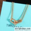 New ☑️ Tiffany & Co. Tiffany HardWear Double Ring Horseshoe Buckle Necklace