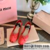 French Fairy Ballet Shoes