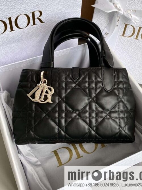 wsxc1694513985972_0-800x800zxtla5tj1od61321_20250719010614.jpg Small DIOR TOUJOURS handbag M2822OSHJ_M900