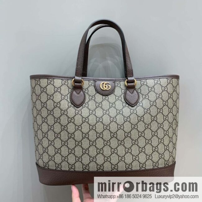 GUCCI Ophidia mini tote bag 765043