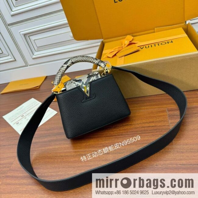 LV N95509 CAPUCINES mini handbag
